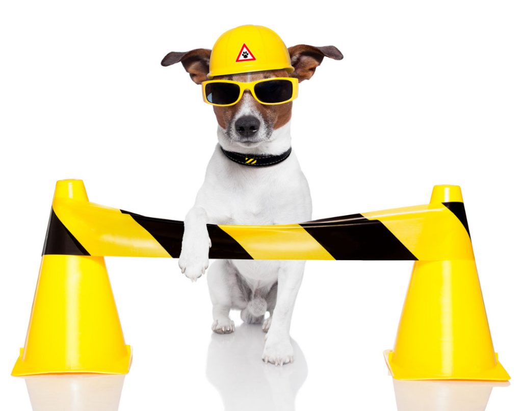 Construction worker dog standing behind a yellow and black barrier.