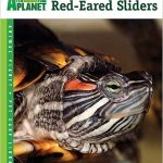 Red-Eared Sliders care book cover