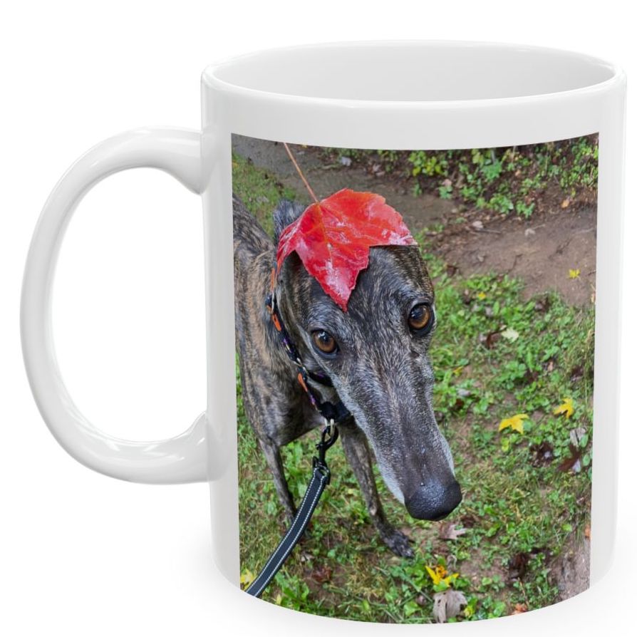 Image of Ruthie Retired Racer with a leaf on her head on a coffee mug.