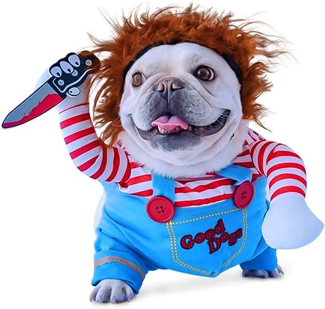Frenchie in Halloween costume