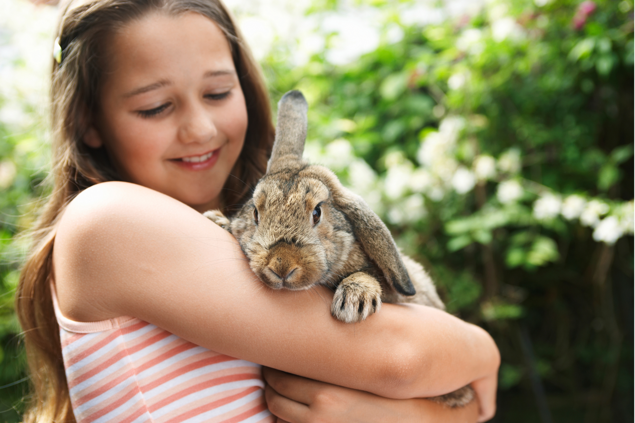 A little girl with her pet rabbit.