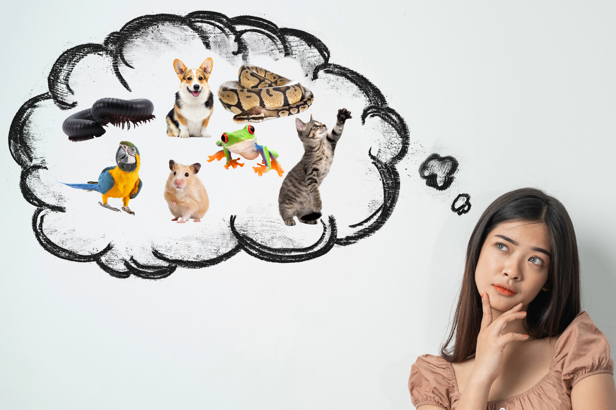 How to find the perfect pet, woman contemplating different pet options.