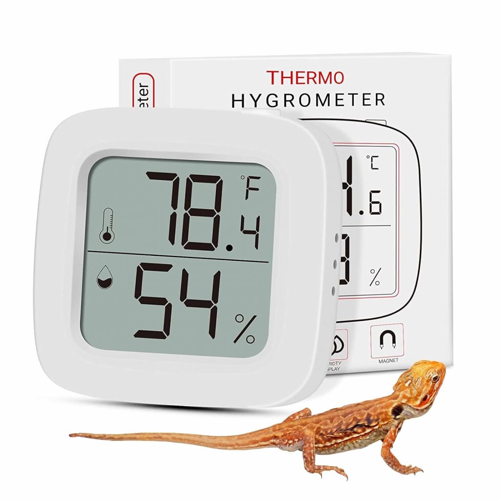 Reptile cage hygrometer with a baby bearded dragon.
